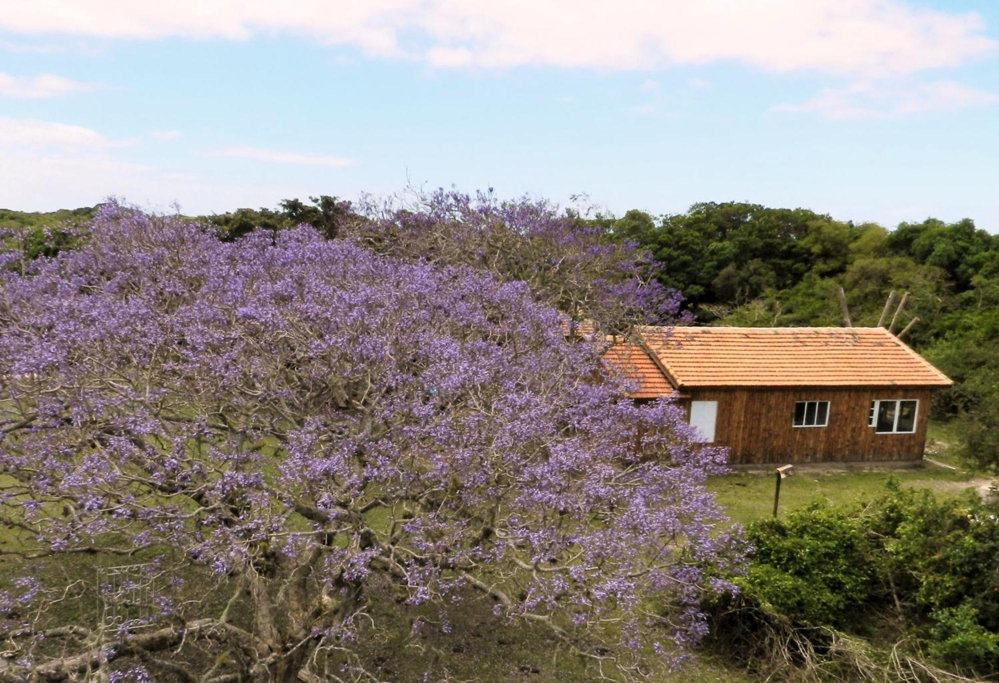 Aldeia Santuario Aves