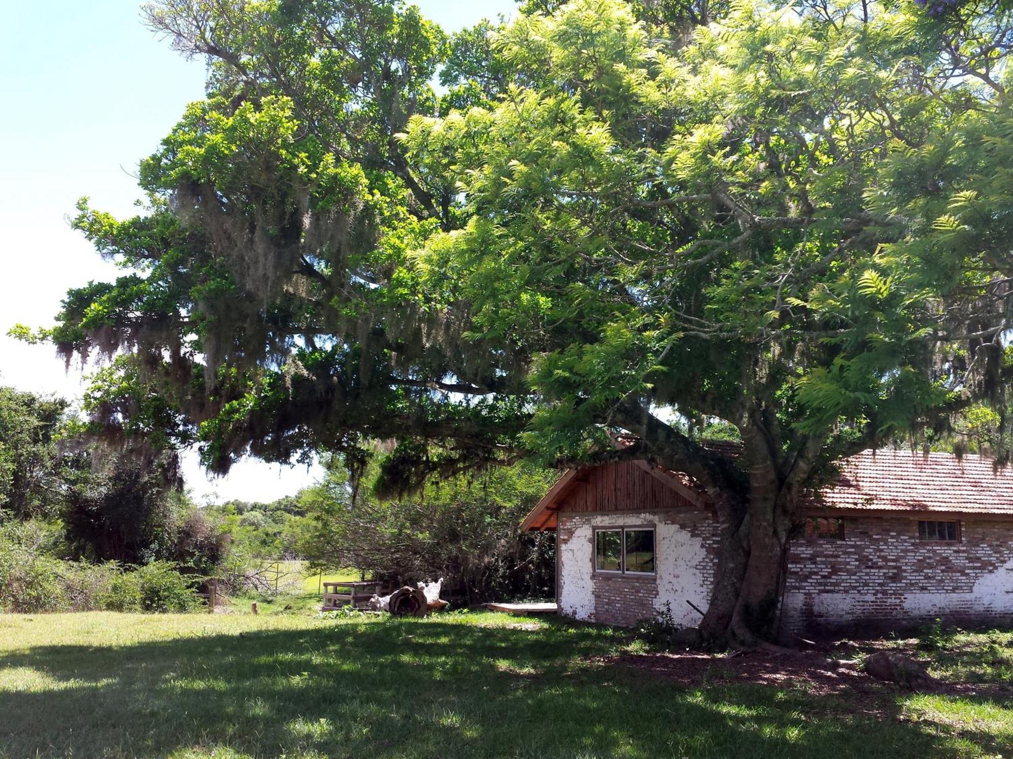 Country house Aldeia Santuario Aves