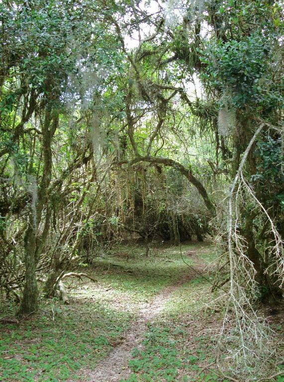Aldeia Santuario Aves Country house