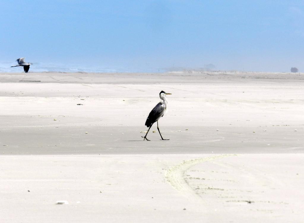 Aldeia Santuario Aves