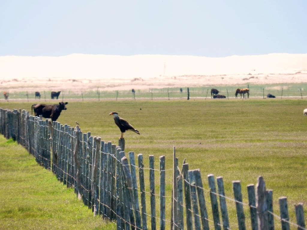 Country house Aldeia Santuario Aves Tavares