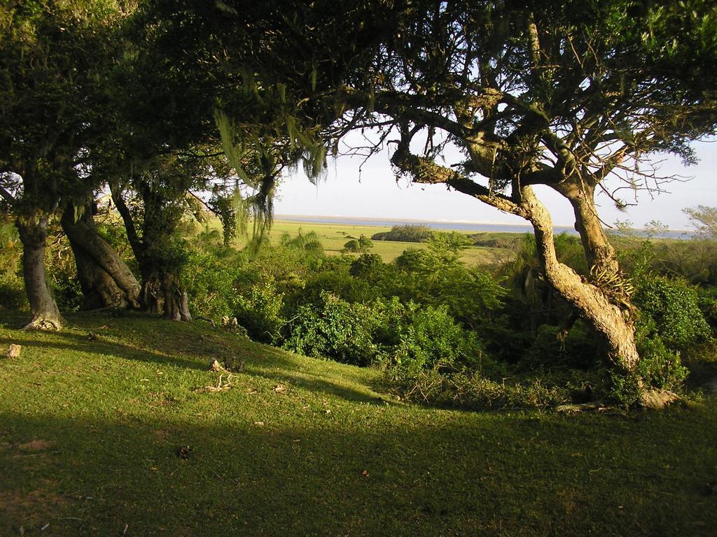 Aldeia Santuario Aves